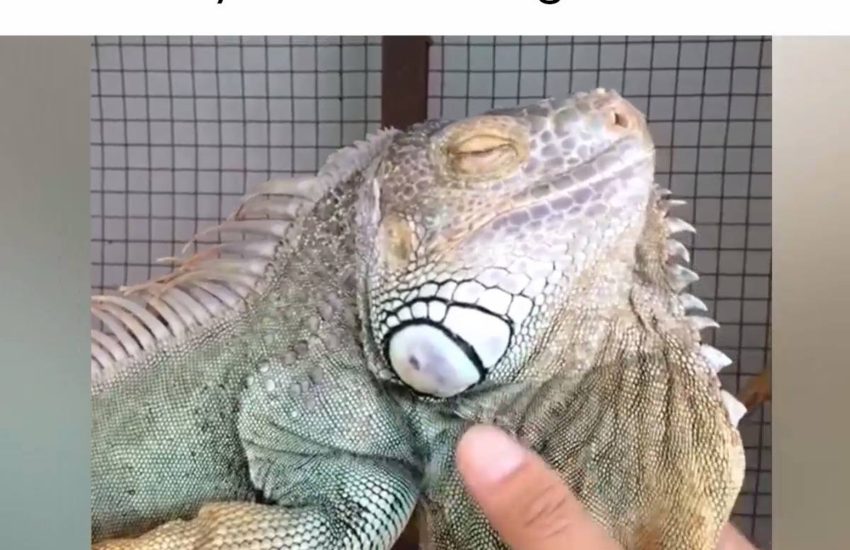 This describes me perfectly. Who else? #onedip