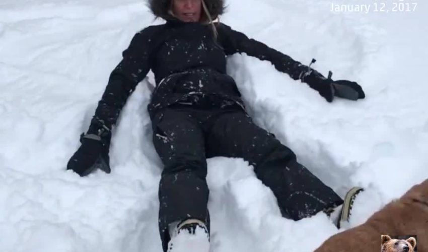狗與所有者做雪天使