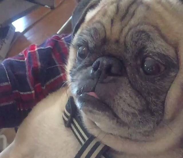 Nom nom nom Watch more: www.thebearshit.com