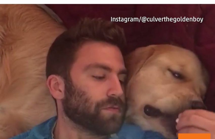 Weekend Plans: Chilling With the Dog