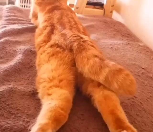 Don't touch Credit: @ashmiemu