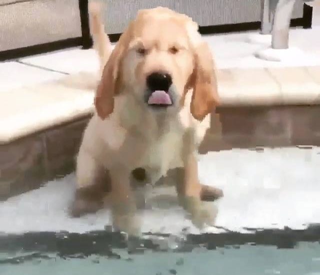 I've made a terrible decision Watch more: www.thebearshit.com