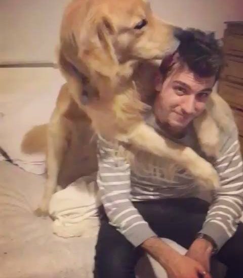 Golden retriever just wants a piggyback ride Follow @miloandthegirls Watch more: www.thebearshit.com