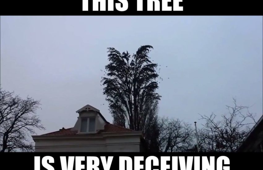 His reaction makes it even better... Provided by: ViralHog