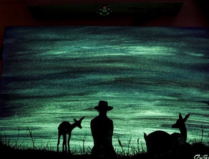 Amazing Light Artist