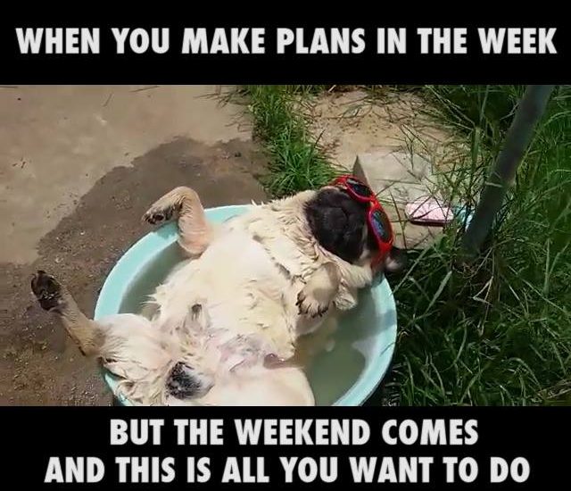 Every single weekend... ?? Provided by: ViralHog
