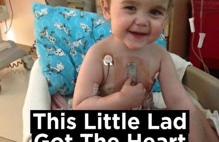 Little Lad Has Successful Heart Transplant