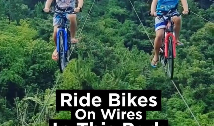 騎自行車在電線在這個公園