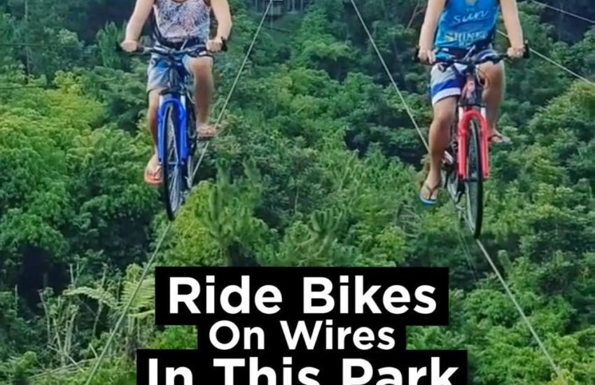 Ride Bikes On Wires In This Park