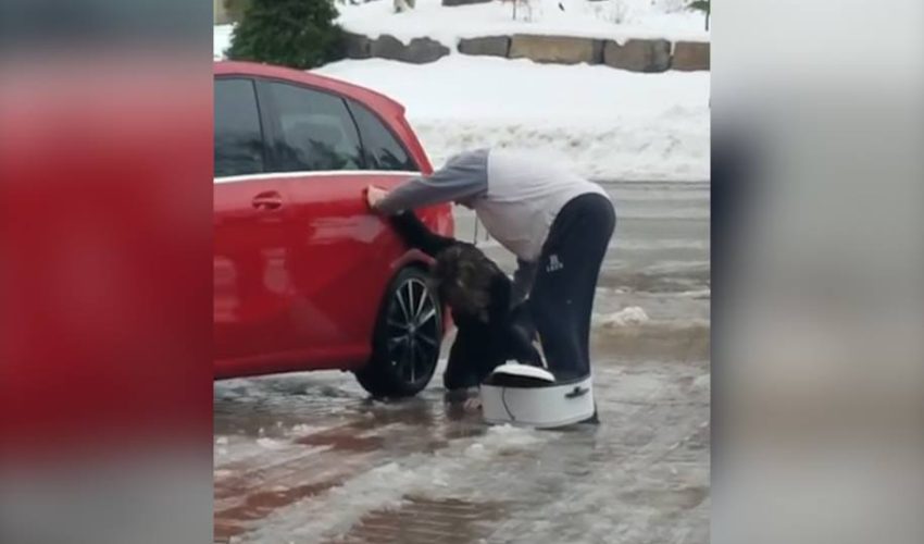 滑入冰的女人進入汽車