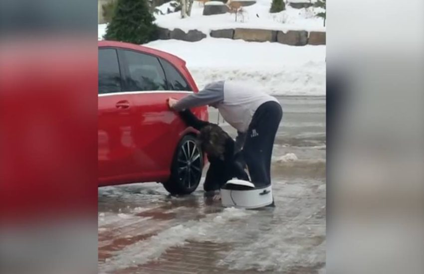 Woman Slipping On Ice Getting Into Car