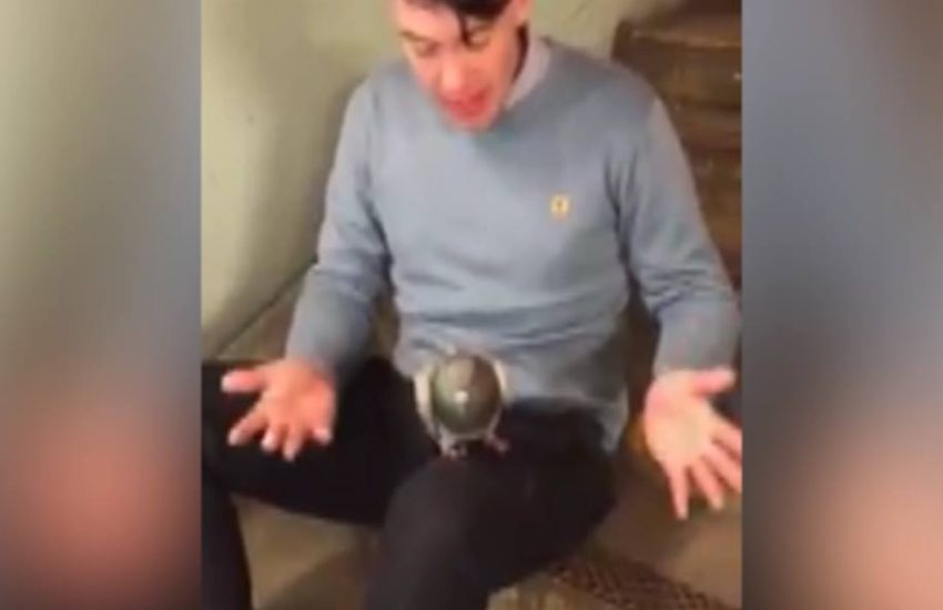 Lad Finds A Pigeon On Night Out