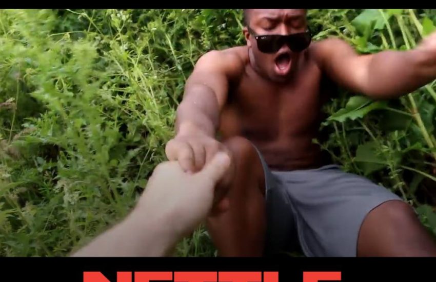 Introducing Nettle Olympics