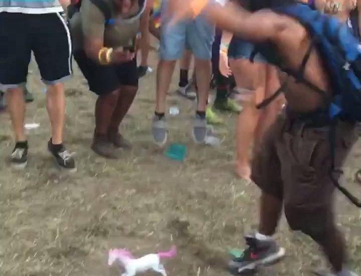 Unicorn Is The Life And Soul Of This Festival