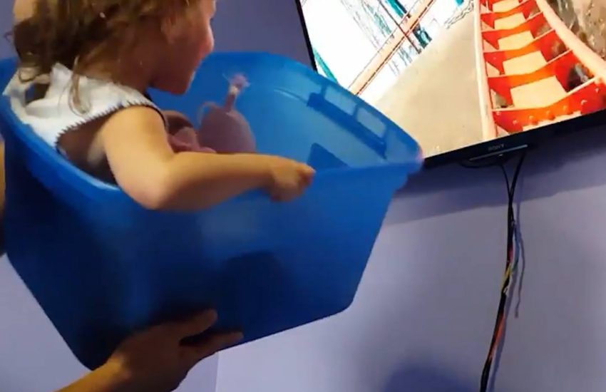 Budget Rollercoaster VR