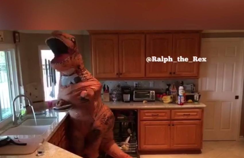 T-REX DOES THE DISHES