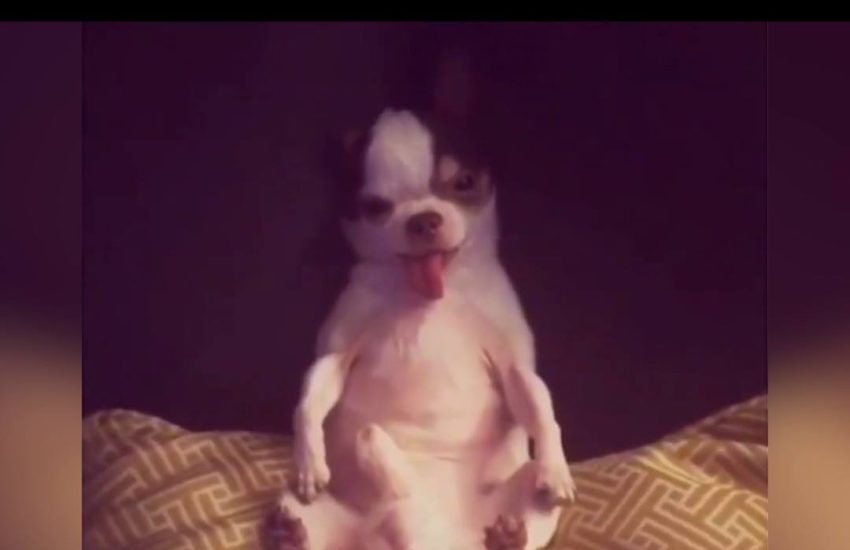 Trying to play it cool when you're actually really excited