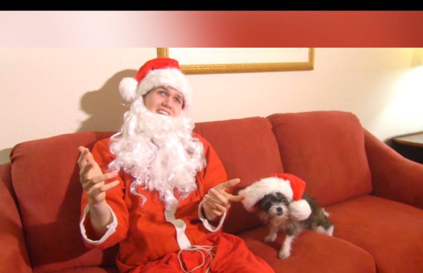 Guy and his dog nail the mannequin challenge