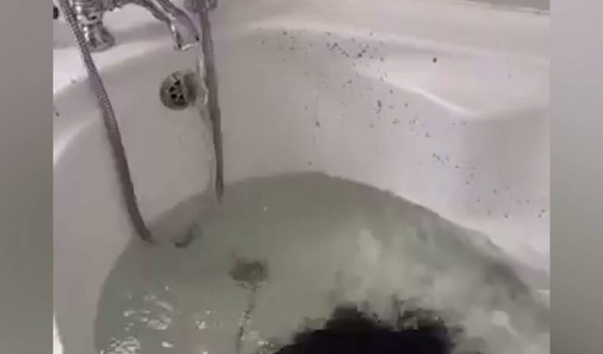 最後一個浴缸炸彈，以配合我的靈魂