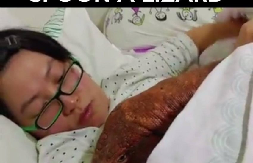 Woman cuddles lizard