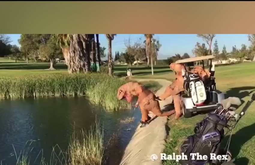 How dinosaurs went extinct