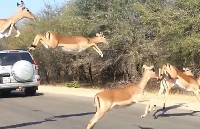 Me jumping to conclusions