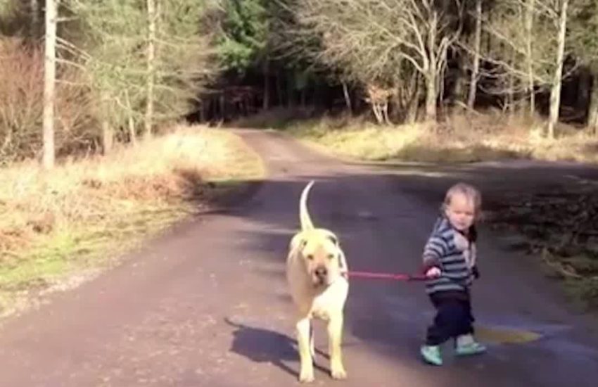 The bond between this boy, his dog and his puddle is everything