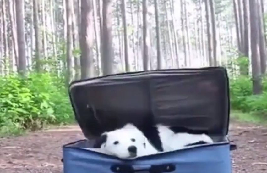 When someone says "only pack the essentials"