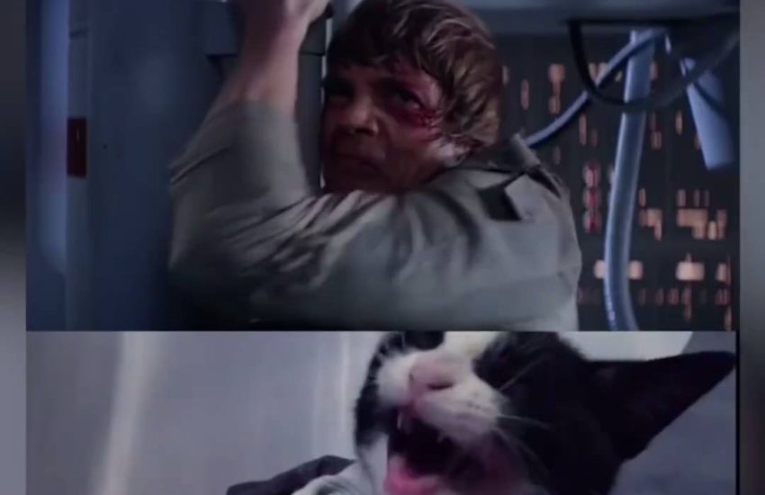 The Empire scratches back