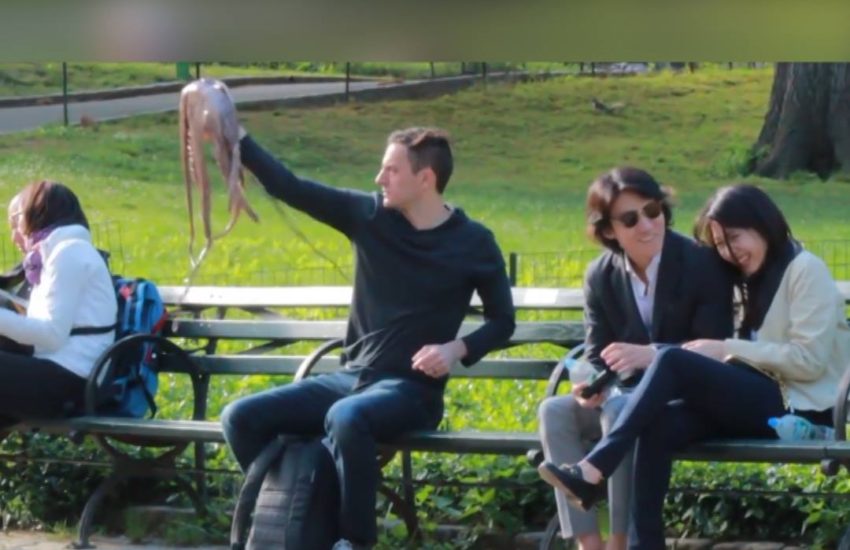 What would you do if you saw this?