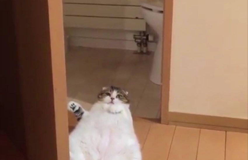 When you get caught being lazy but you're too tired to care