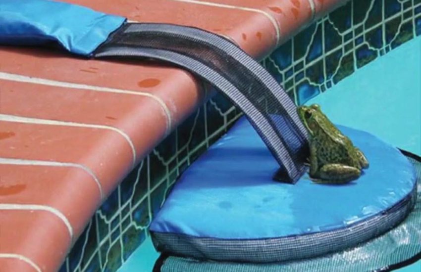 This ramp device helps critters escape your pool!