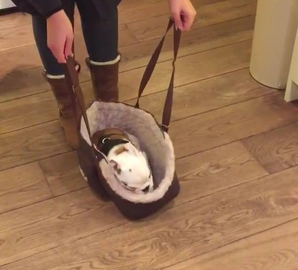 Keeping the best passenger warm <3 via - JukinMedia