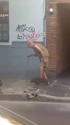 老人走了耐心狗