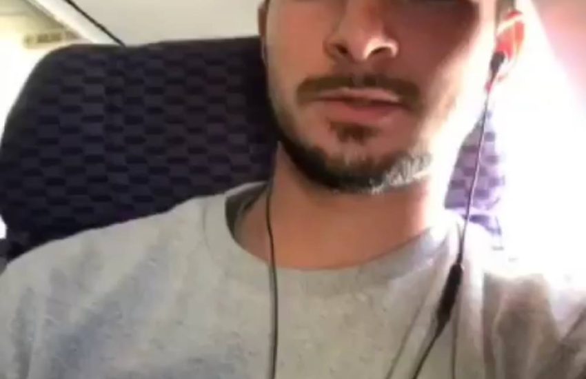 Dog Is Passenger On Plane