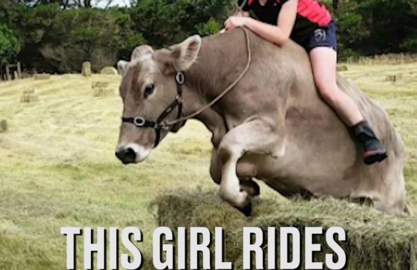 This Girl Rides A Cow