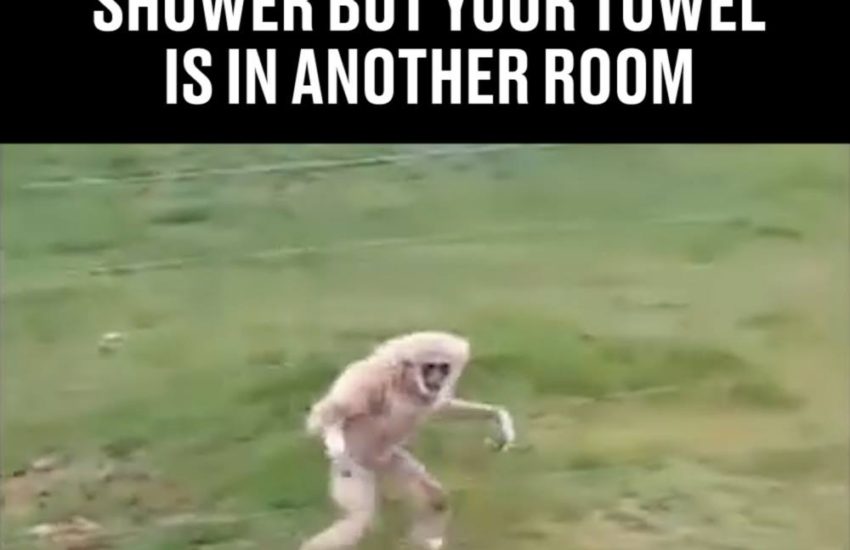 When Your Fresh Out The Shower But Your Towel Is In Another Room