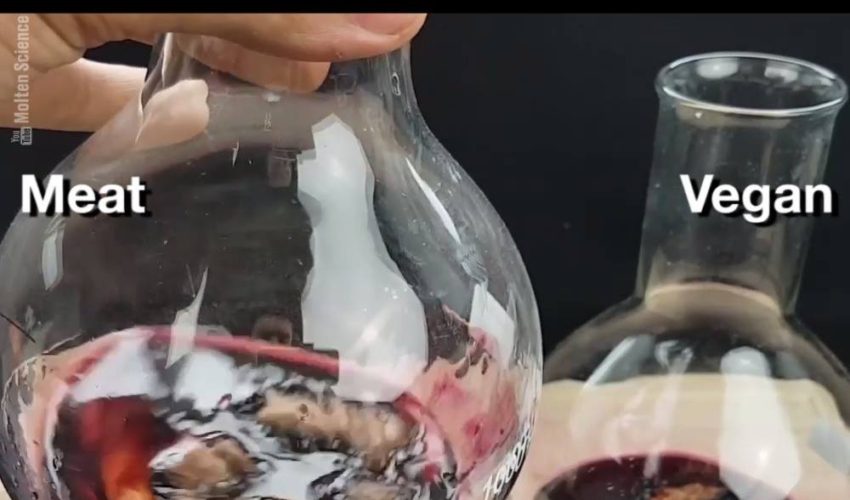 素食主義者與肉類 – 漢堡胃酸實驗
