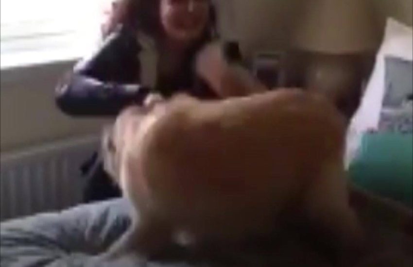 This hide and seek has an over-the-top ending #diplyful