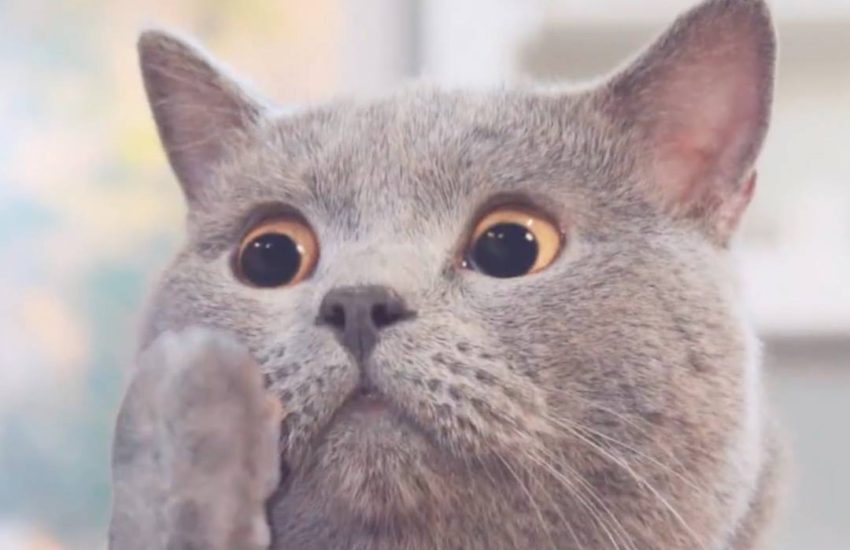 When you accidentally double tap on your ex's photo from two m...